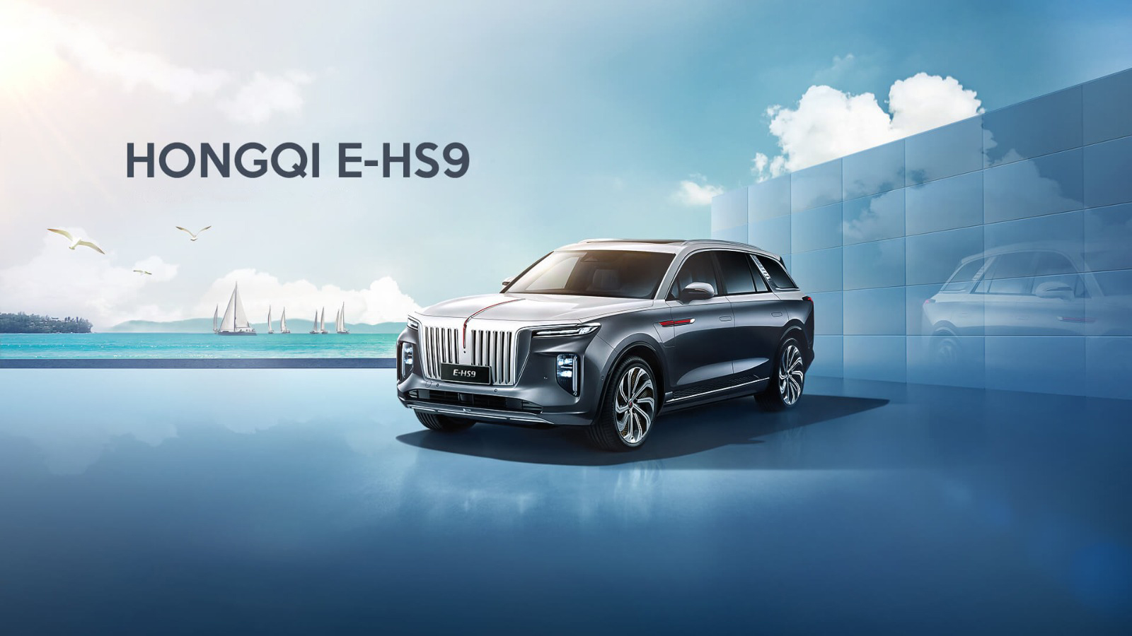 E-HS9